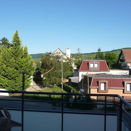Appartement Le Parc du Marlenberg à Marlenheim Extérieur photo
